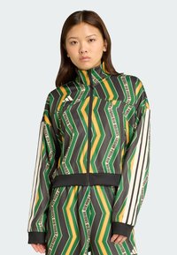 Veste de sport avec un motif en zigzag vert, jaune et noir. Conçue en matériau lisse et léger avec un col montant et une fermeture éclair.