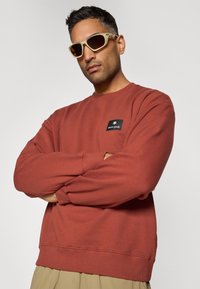 Felpa marrone con maniche lunghe e polsini a coste, dotata di una toppa nera con la scritta "snow peak". La persona indossa occhiali da sole beige.