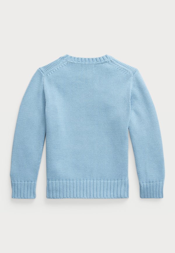 COTTON CREWNECK JUMPER UNISEX - Jumper2