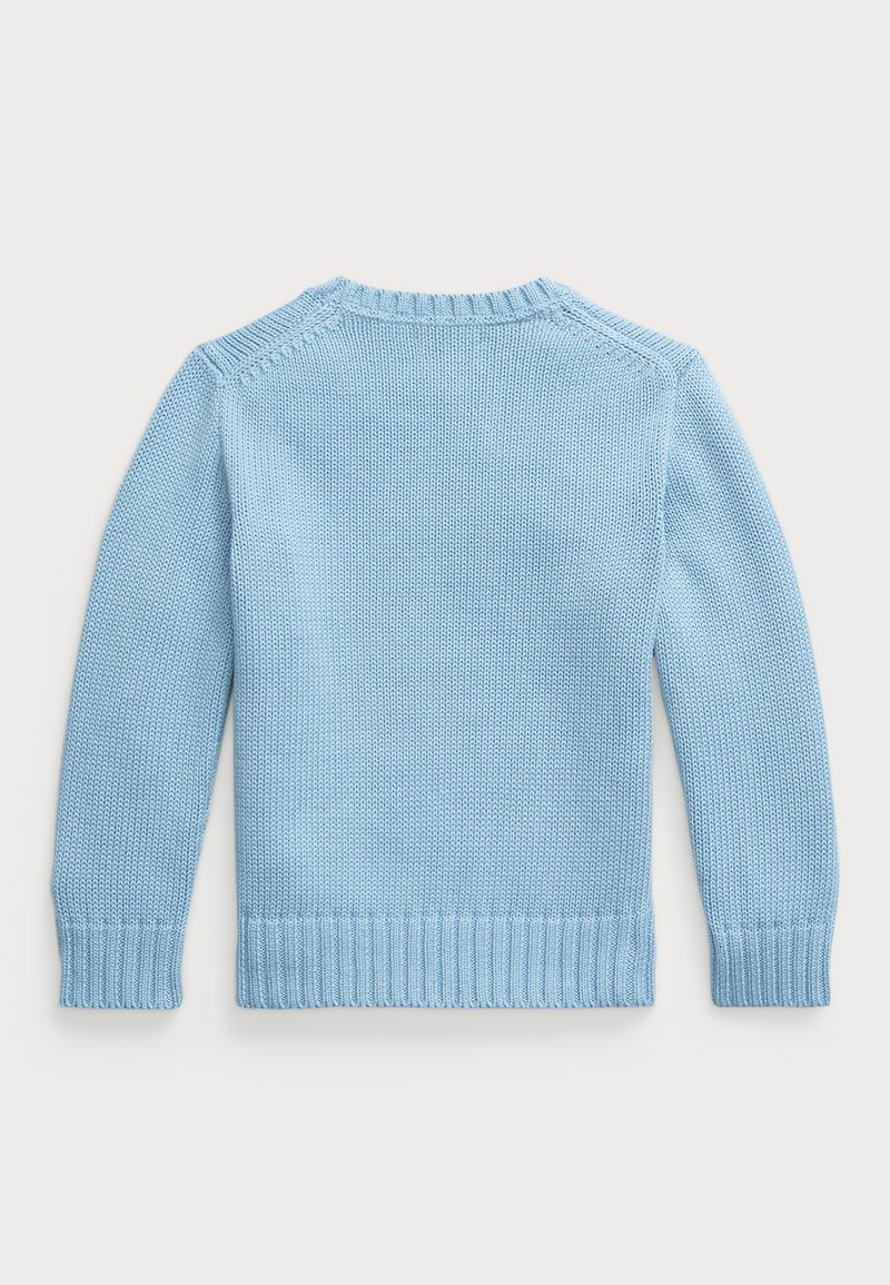 Polo Ralph Lauren COTTON CREWNECK JUMPER UNISEX Jumper