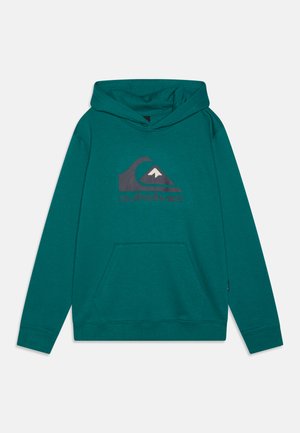 BIG LOGO YOUTH UNISEX - Huppari - teal green