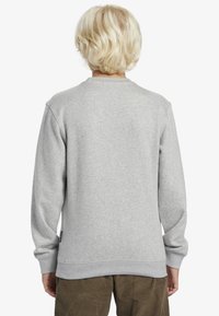Grey sweatshirt with a crew neck, long sleeves, and ribbed cuffs. Soft fabric with a smooth texture and a small label on the side.