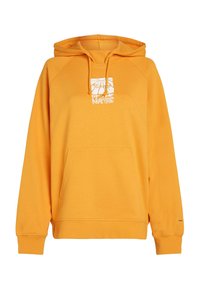 WOTW - Kapuutsiga pusa - golden honey