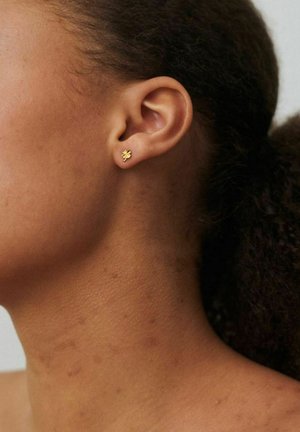 Oreja izquierda de una mujer con el cabello rizado recogido, que lleva un pequeño pendiente de botón en forma de trébol de cuatro hojas dorado.