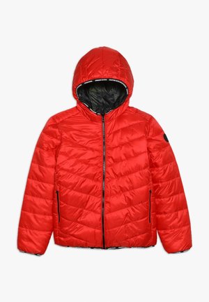 TOINE - Winterjas - classic red