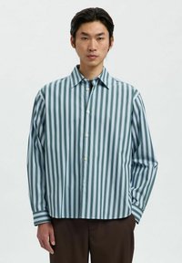 Camicia a righe con strisce verticali alternate blu chiaro e verde, modello con bottoni, colletto aperto e maniche lunghe. Tessuto con texture liscia.