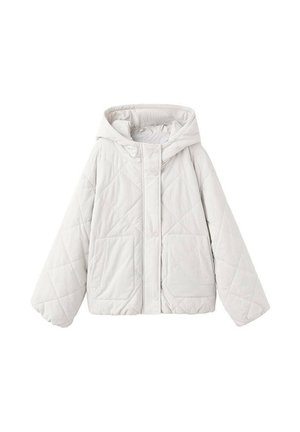 KID - Chaqueta de invierno - grijs