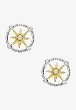 Earrings - bicolor