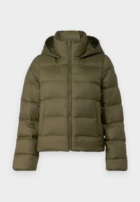 CASUAL JACKET - Giacca invernale - army green
