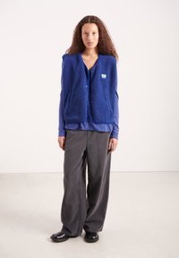 Modrá fleecová vesta s textúrovaným povrchom, zapínaním na gombíky vpredu a dvoma bočnými vreckami, navrchu fialovej košele s dlhým rukávom. Sivé široké nohavice.