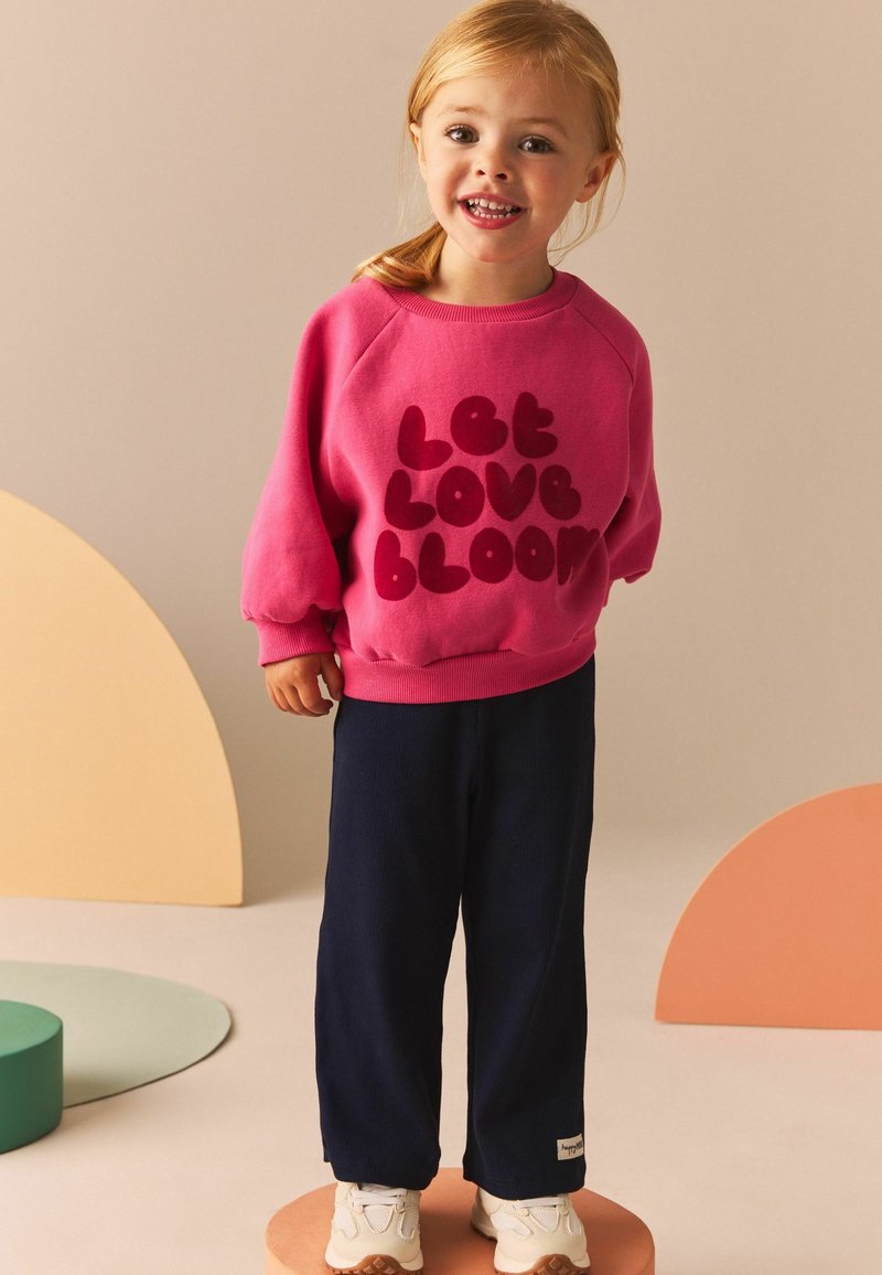 Next LOVE RAGLAN  REGULAR FIT - Mikina - pink