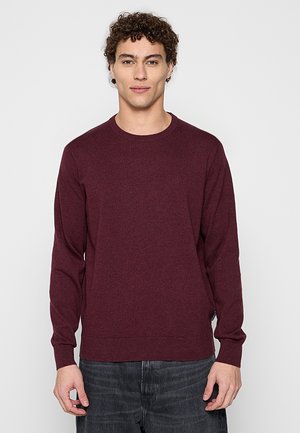 Junger Mann mit lockigem Haar, der einen schlichten, langärmeligen bordeauxfarbenen Pullover und dunkle Jeans trägt, steht vor einem hellgrauen Hintergrund.