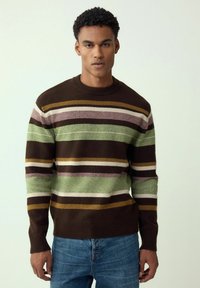 Brown striped sweater with green, cream, and purple horizontal lines. Ribbed neckline and cuffs, crafted from soft knit fabric.