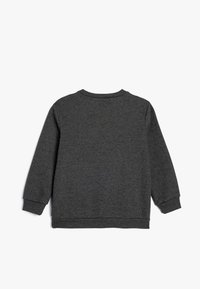 Grå sweatshirt med långa ärmar, ribbat rundhalsad halsringning och manschetter. Mjuk texturerad tyg med en enkel design utan synliga logotyper eller mönster.