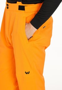 Whistler GIPPSLANG - Skihose - turmeric