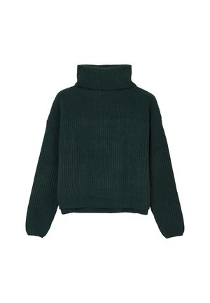 Pull en maille épaisse vert foncé à col roulé, avec des manches longues et une texture côtelée, présenté à plat sur un fond blanc.