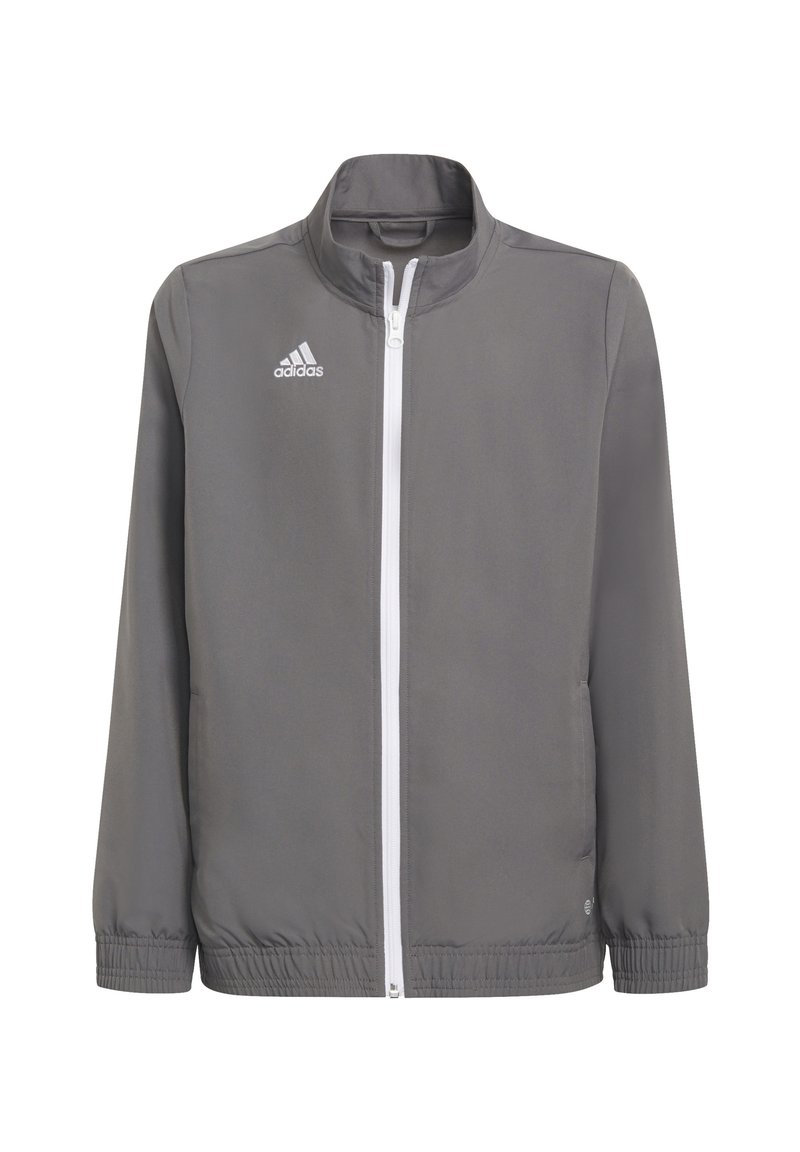Veste zippée grise avec des accents blancs, dotée d'un col montant, de poignets et d'un ourlet élastiques. Logo Adidas sur la poitrine gauche. Texture lisse.