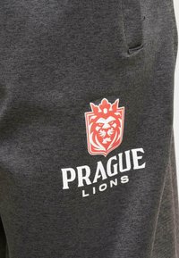DEF EUROPEAN LEAGUE PRAGUE LIONS - Joggebukse - antracite