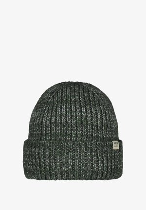 Dark green and gray knitted beanie with a folded brim and a small rectangular brand label on the side.