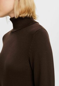 Brun polotröja med ribbat mönster och figurnära design, med en sömlös hög krage och långa ärmar.