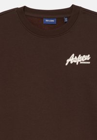 Felpa marrone realizzata in tessuto morbido, con colletto a girocollo e logo bianco "Aspen" sul petto. Design semplice con polsini a coste.