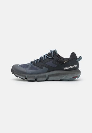 PREDICT HIKE GTX - Hiking shoes - ebony/black/stormy weather