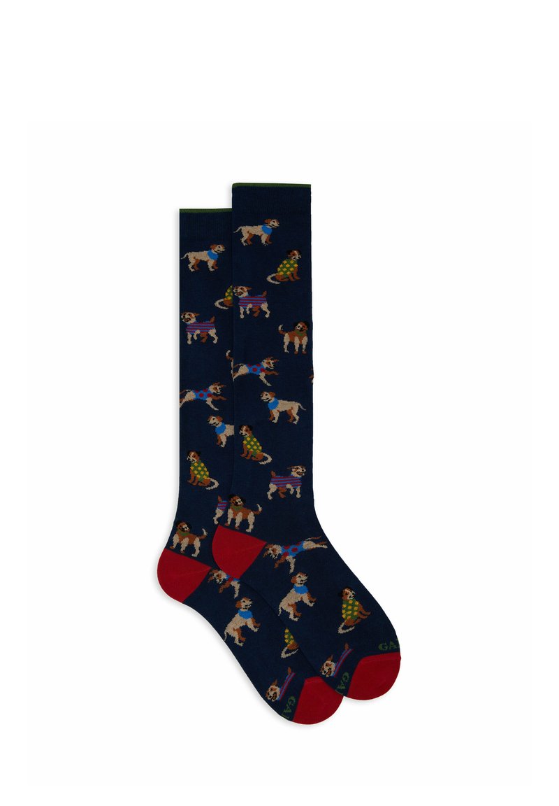 Gallo WITH DOG MOTIF - Calzettoni - royal