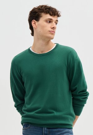 Terranova MAGLIA TINTA UNITA - Maglione - verde prato