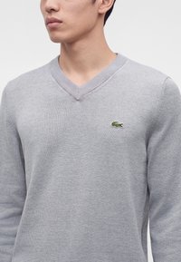 Homme portant un pull gris clair à col en V avec un petit logo crocodile vert sur le côté gauche de la poitrine.