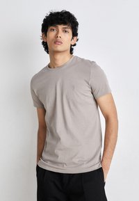 AllSaints TONIC CREW - T-shirt basic - chestnut taupe
