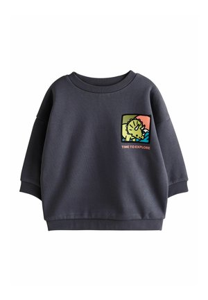 Next, REGULAR FIT - BACK PRINTED CREW SWEAT TOP . - Sweatshirt - dark grey dinosaur