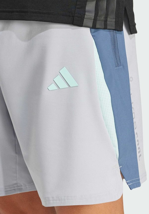 TECH APPAREL COLORBLOCK - Sports shorts - halo silver3