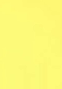 Surface jaune à texture lisse ; présente un motif abstrait de taches claires et foncées, créant une couleur uniforme.