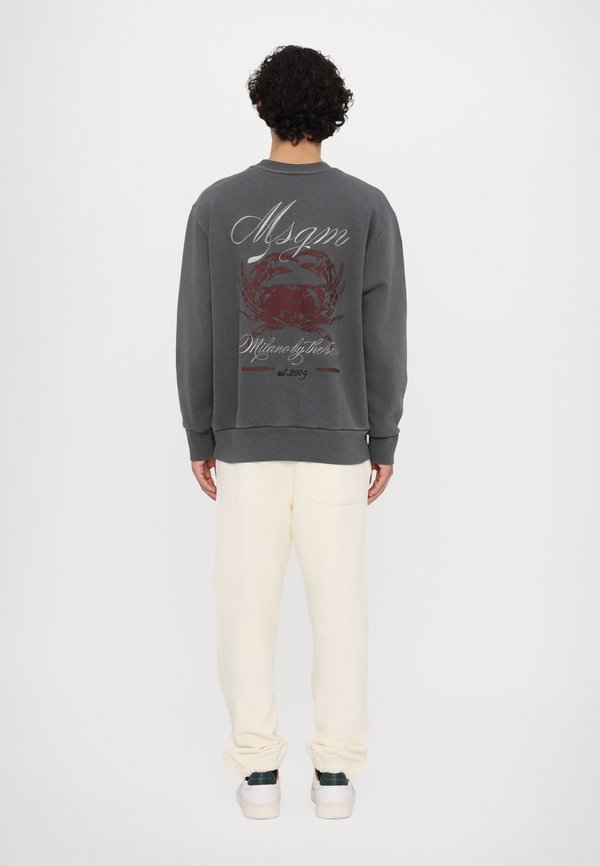 Sweatshirt - anthracite3