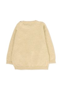 Jasno-beżowy sweter, długie rękawy, okrągły dekolt, miękka tekstura, ściągacze przy mankietach i na dole, luźny krój, widok z tyłu.