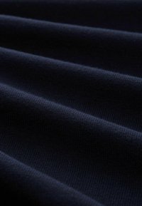 TOM TAILOR DENIM BASIC CREWNECK  - Maglione - sky captain blue