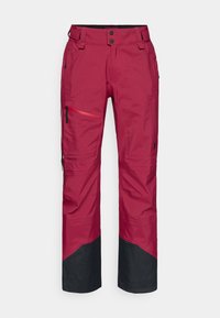 ALPINE GORE-TEX PANTS - Ski pants - vertical zenith