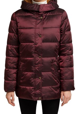 Esprit Collection Abrigo de invierno - bordeaux