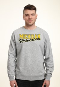 Grijze crewneck sweatshirt met de tekst "MICHIGAN Wolverines" in geel en zwart. De stof is glad; het heeft ribgebreide boorden en een zoom.