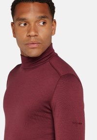 icebreaker MERINO 260 LS TURTLENECK - Strickpullover - port