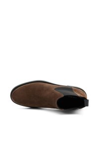 Frau Shoes Botines bajos - brown