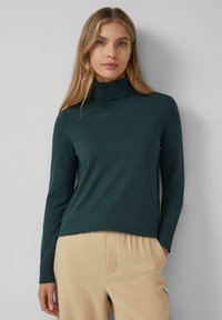Grüner Rollkragenpullover mit glatter Textur und langen Ärmeln, kombiniert mit beigen Hosen. Einfaches Design ohne Muster oder Verzierungen.