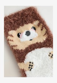 Unselected, hedgehog