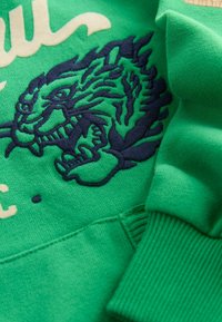 Superdry & Co Felpa con cappuccio - green