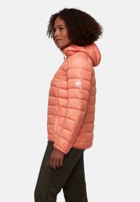 Mammut WAYMARKER IN HOODED - Dunjacka - quartz dust