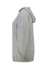Lichtgrijze hoodie met een losse pasvorm, zachte textuur, geribde boorden aan mouwen en zoom, en een klassieke capuchon. Geen zichtbare patronen of logo's.
