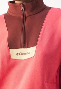 Maglione in pile a mezza zip rosa e marrone con un ampio scollo a V e una patch con logo, caratterizzato da una texture morbida e una vestibilità rilassata.