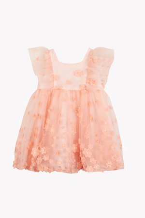 Peach tulle dress with flutter sleeves, embroidered flowers, and a layered skirt. Soft texture, knee-length design, and open back.