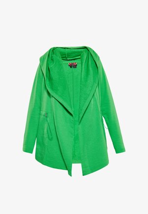 Hellgrüne offene Jacke mit Kapuze, langen Ärmeln und seitlichen Reißverschlusstaschen, auf weißem Hintergrund dargestellt.