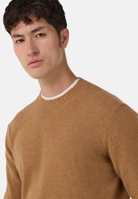 Maglione marrone lavorato a maglia con scollo rotondo e dettagli a coste. Il materiale sembra morbido, mostrando una texture liscia e un colore uniforme.